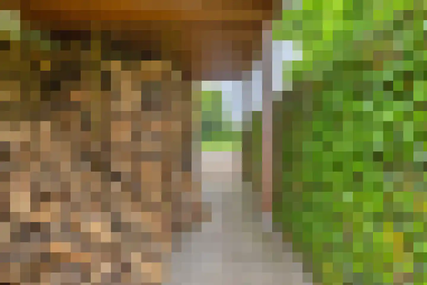 Peperstraat 25 Bruchem thumbnail 62