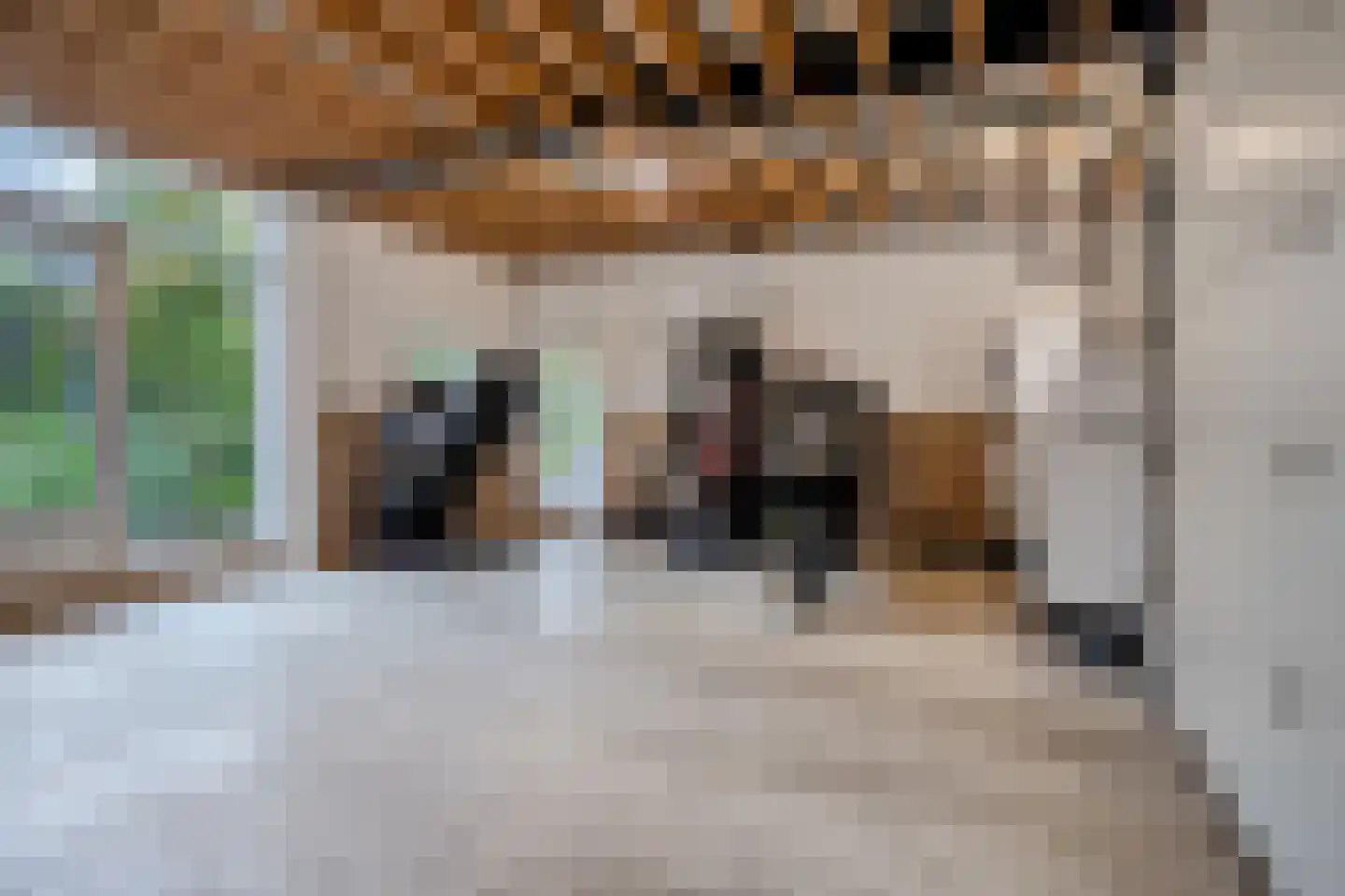 Peperstraat 25 Bruchem thumbnail 66