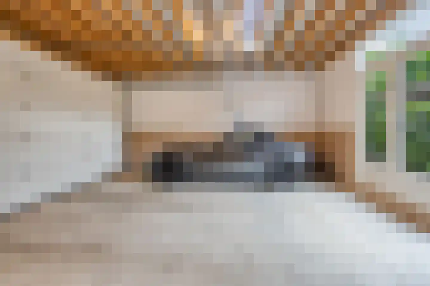 Peperstraat 25 Bruchem thumbnail 67