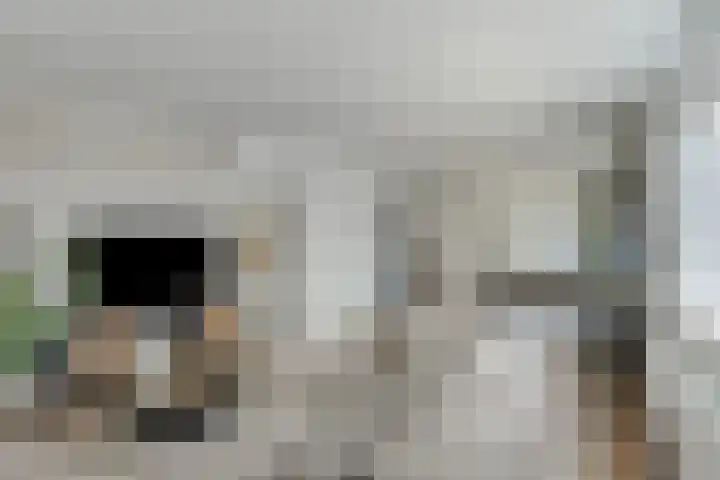 Peperstraat 26 Egmond-Binnen thumbnail 13