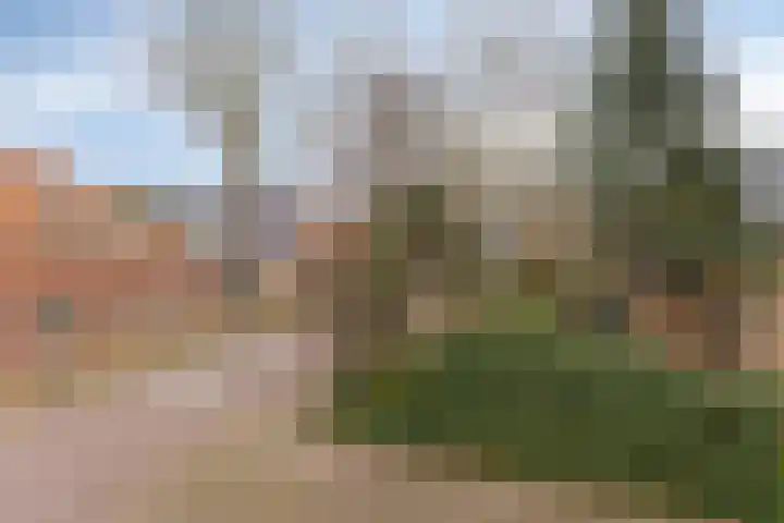 Peperstraat 26 Egmond-Binnen thumbnail 36