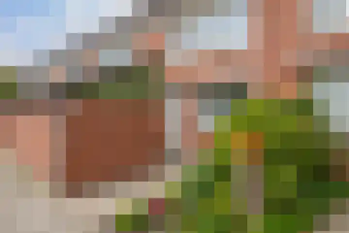 Peperstraat 27 Purmerend thumbnail 13