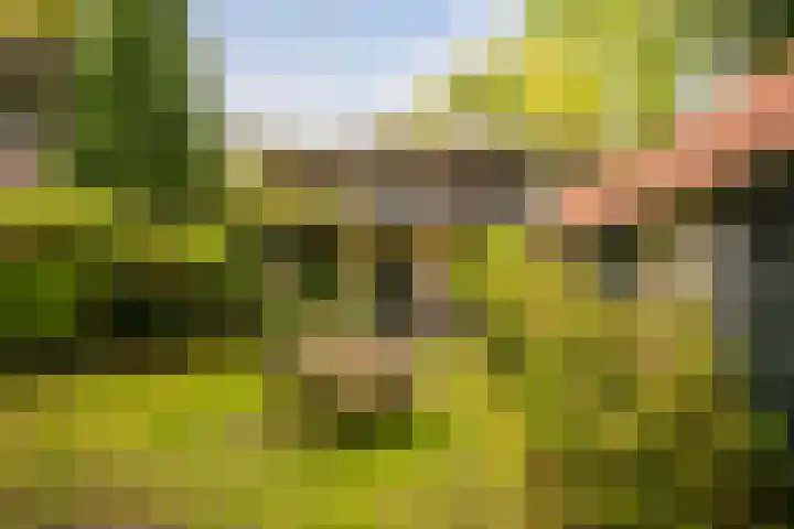 Peperstraat 27 Purmerend thumbnail 36