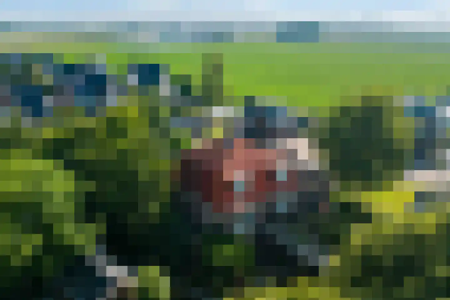 Peperstraat 29 Bovenkarspel thumbnail 10