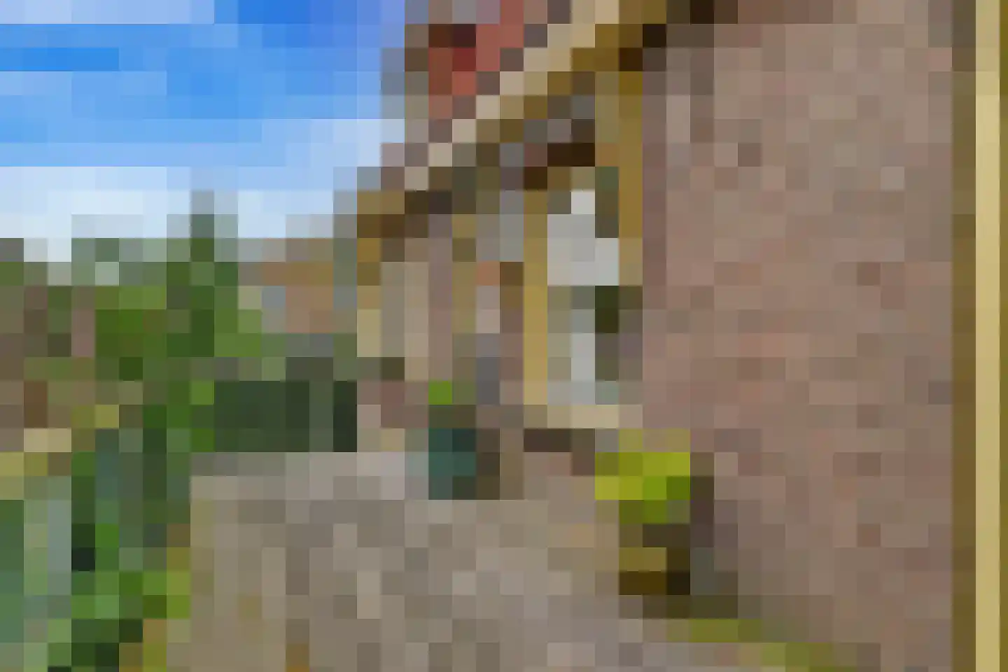 Peperstraat 29 Bovenkarspel thumbnail 12
