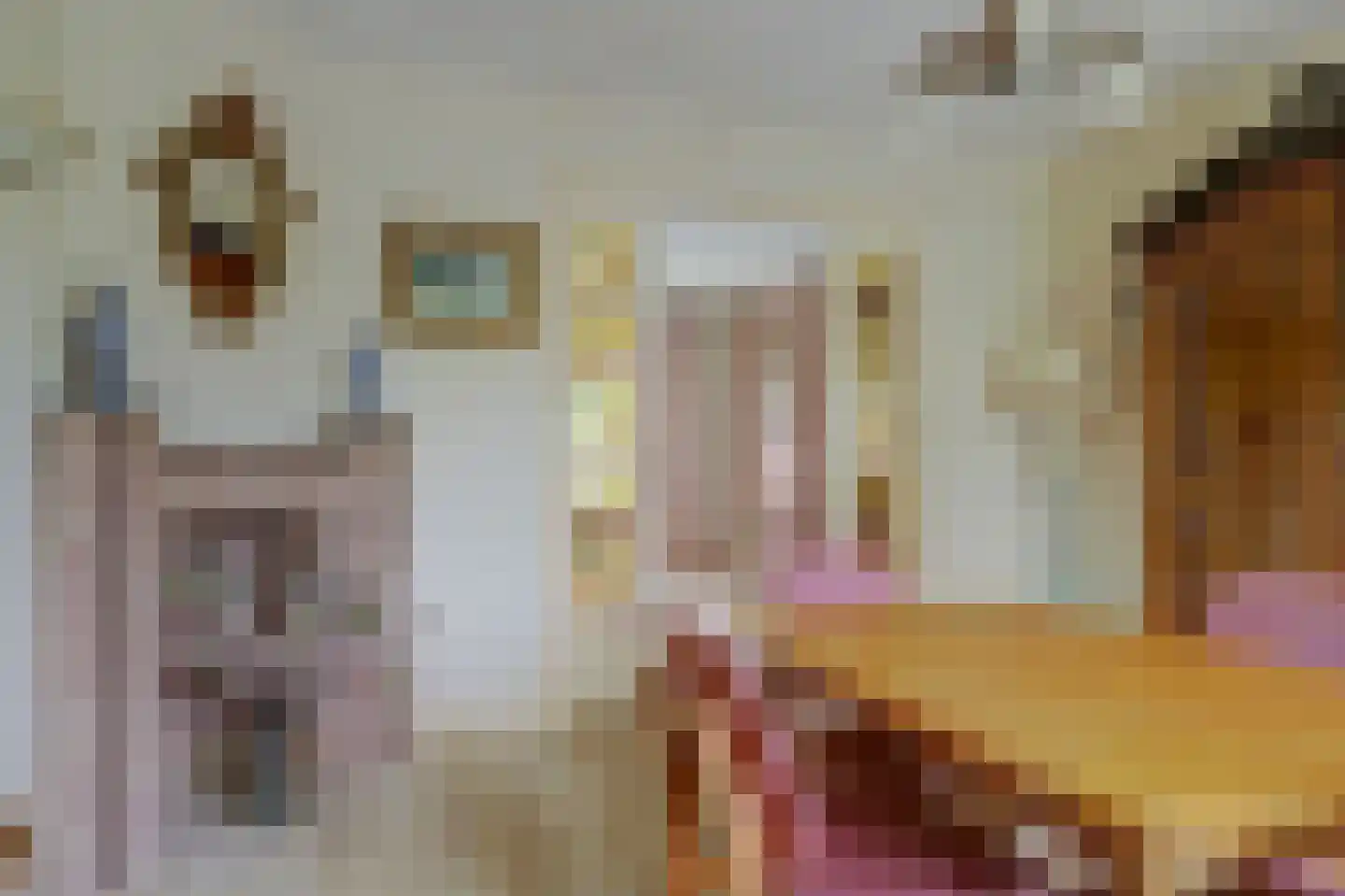 Peperstraat 29 Bovenkarspel thumbnail 26