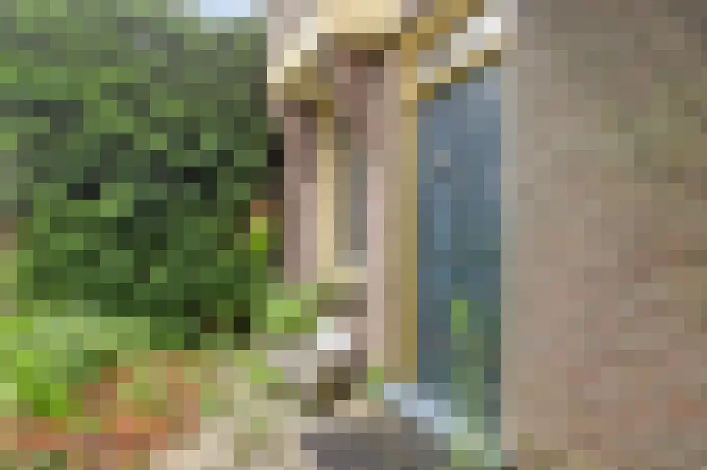 Peperstraat 29 Bovenkarspel thumbnail 33