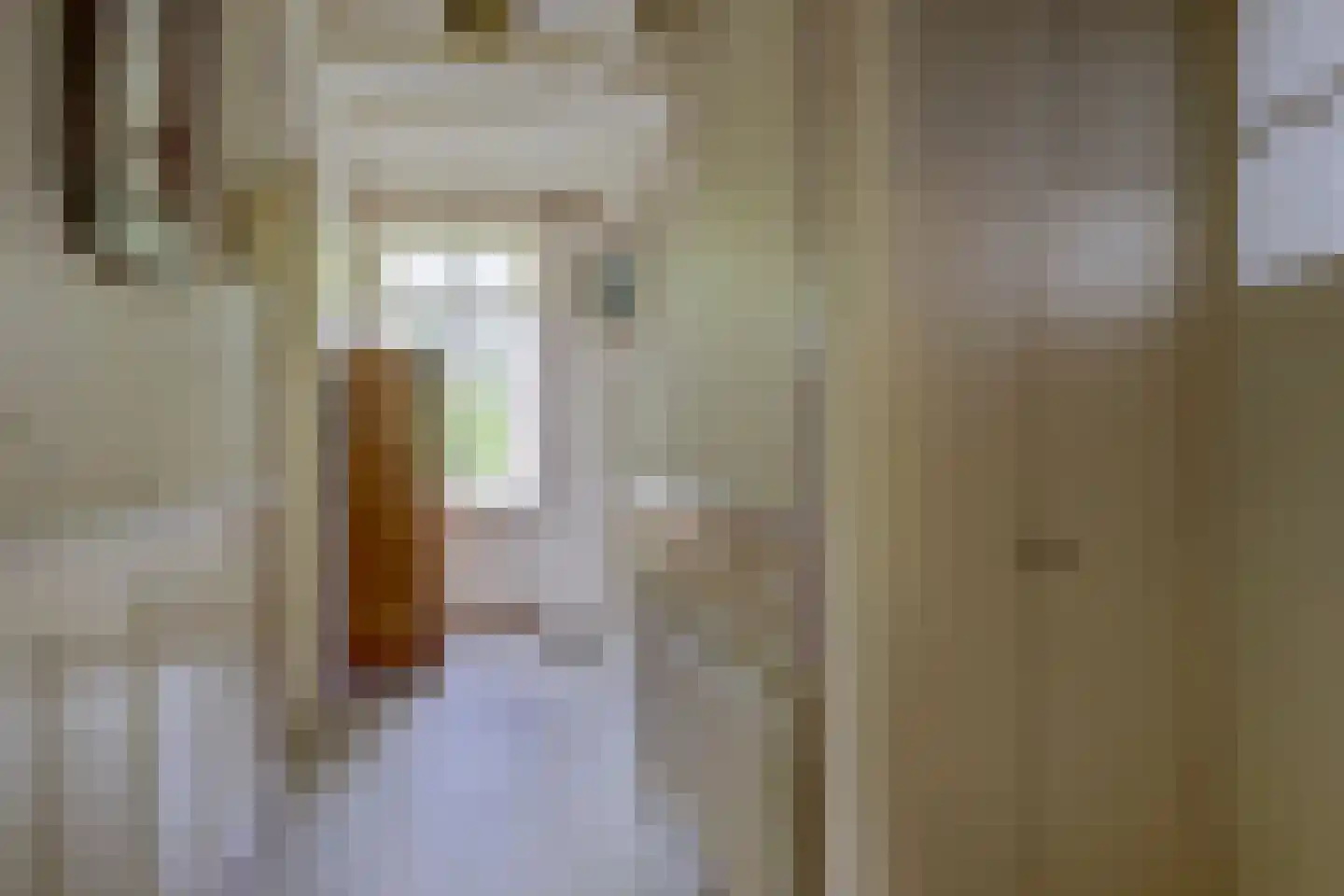 Peperstraat 29 Bovenkarspel thumbnail 40