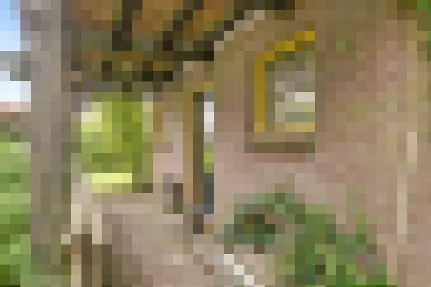 Peperstraat 29 Bovenkarspel thumbnail 57