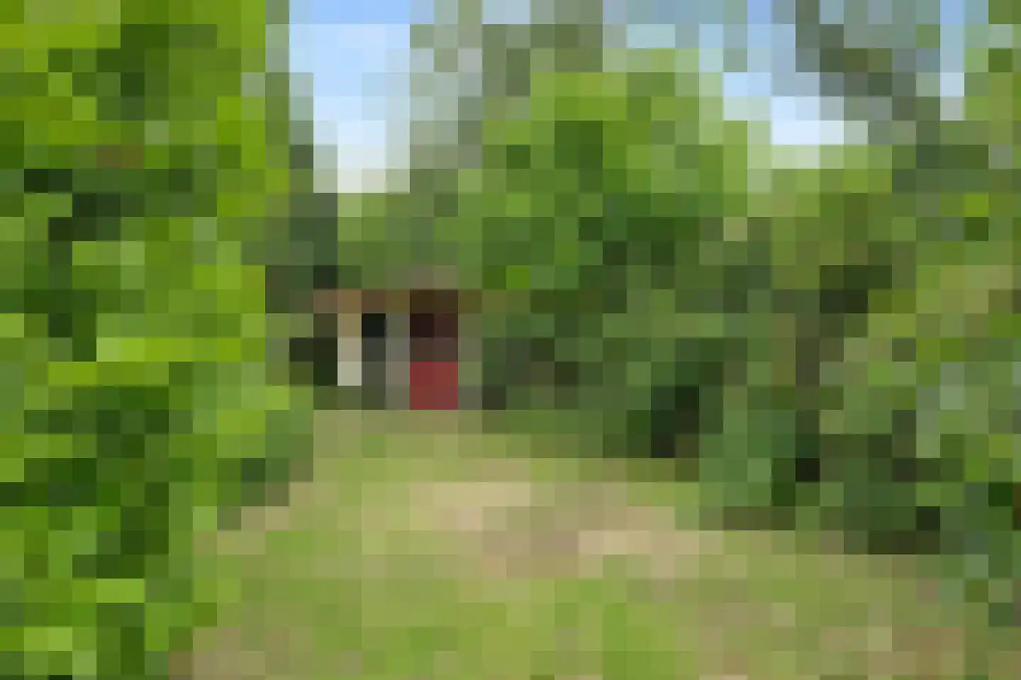 Peperstraat 29 Bovenkarspel thumbnail 61