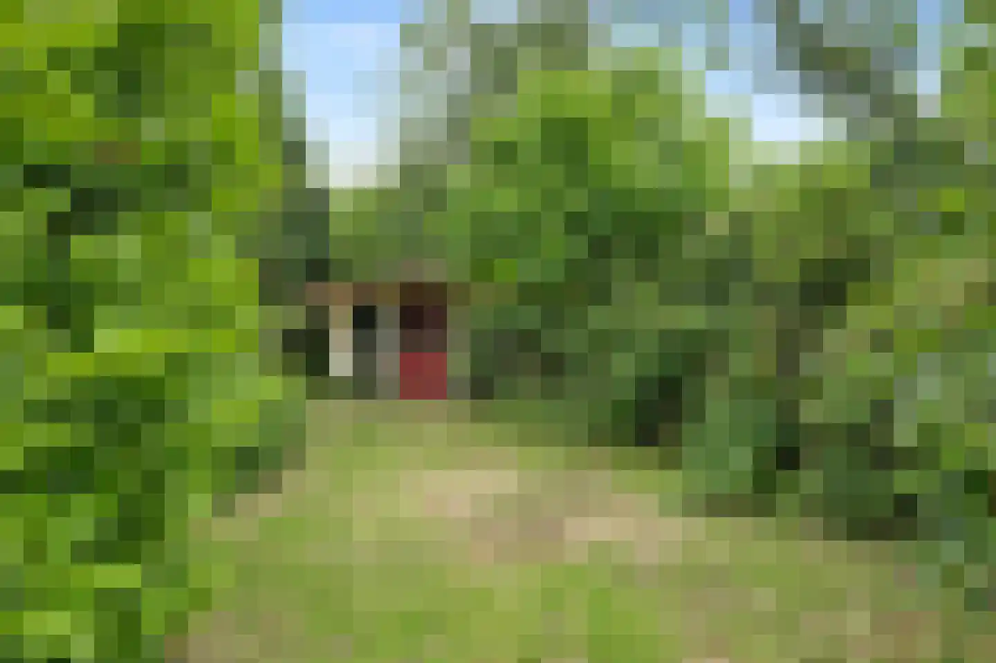 Peperstraat 29 Bovenkarspel thumbnail 63