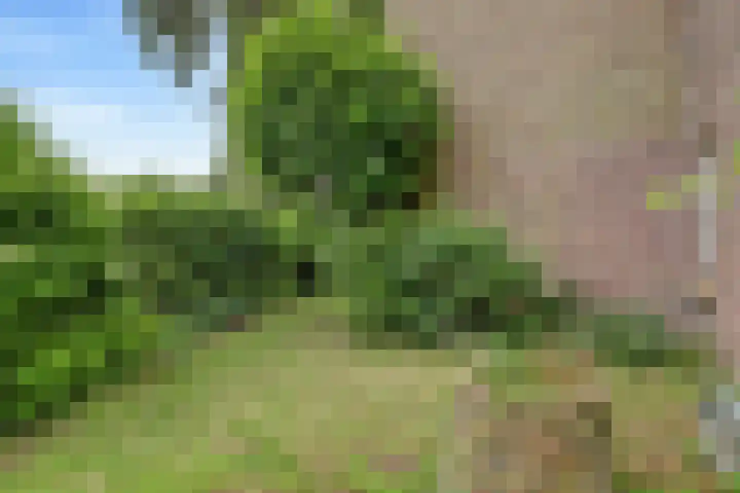 Peperstraat 29 Bovenkarspel thumbnail 64
