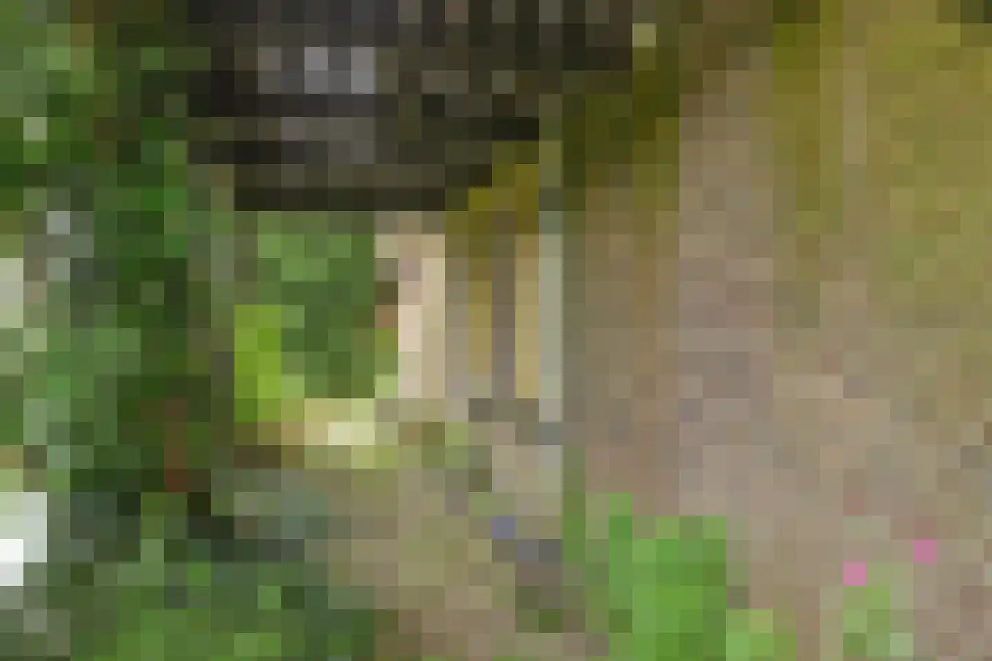 Peperstraat 29 Bovenkarspel thumbnail 65