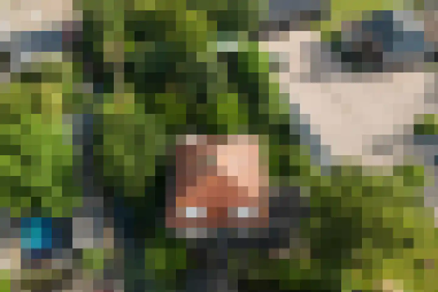 Peperstraat 29 Bovenkarspel thumbnail 68