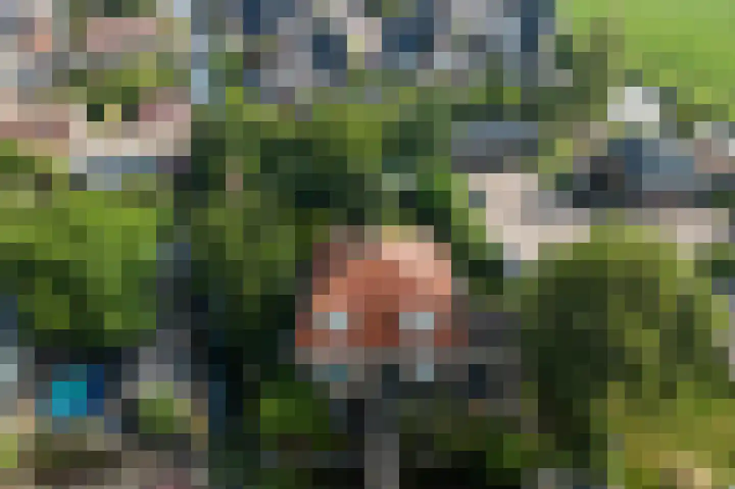 Peperstraat 29 Bovenkarspel thumbnail 69