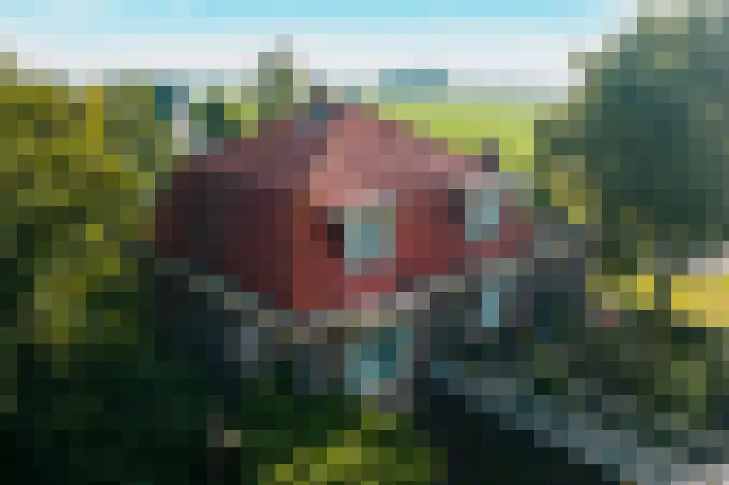 Peperstraat 29 Bovenkarspel thumbnail 70