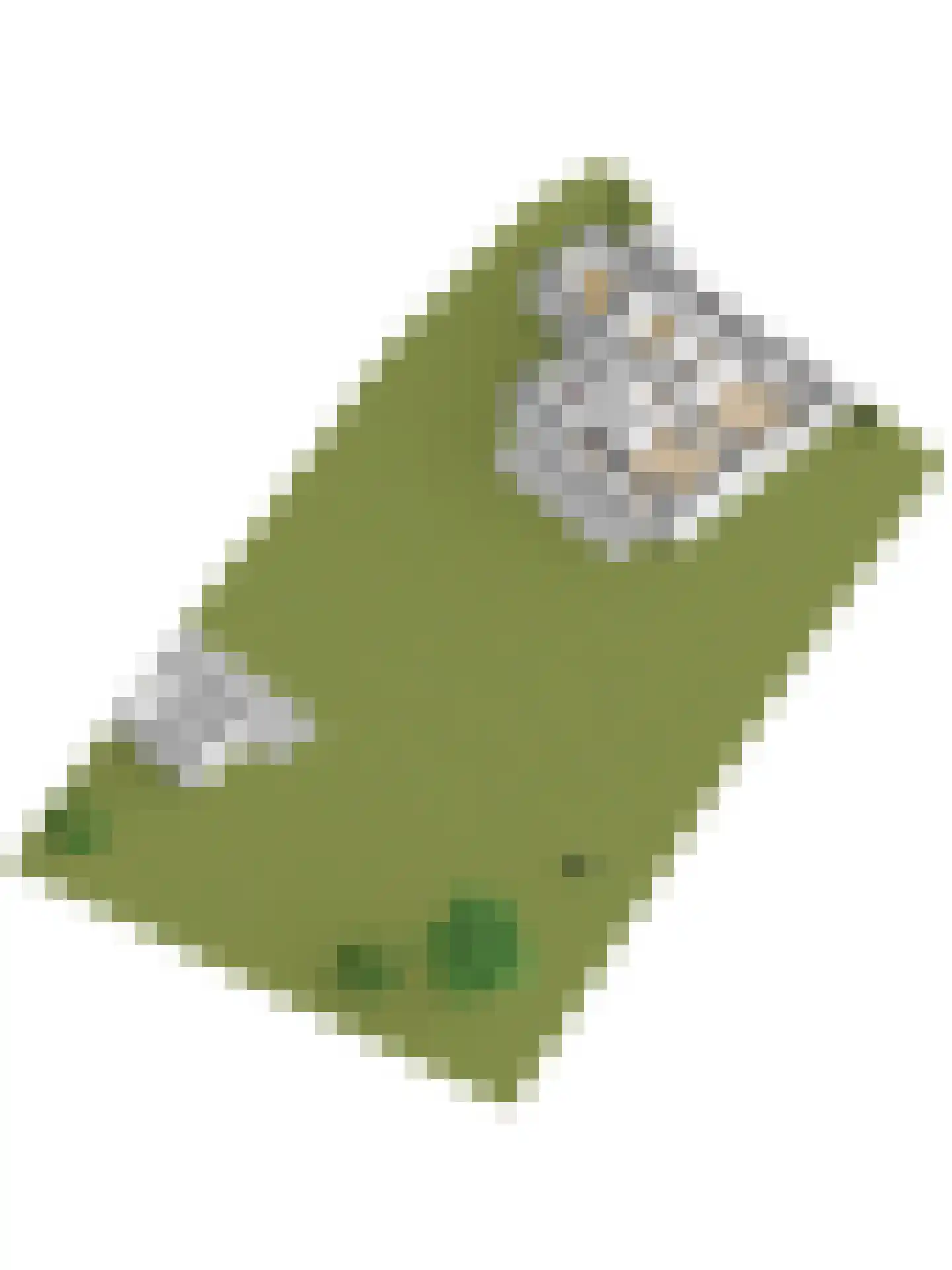Peperstraat 29 Bovenkarspel thumbnail 93