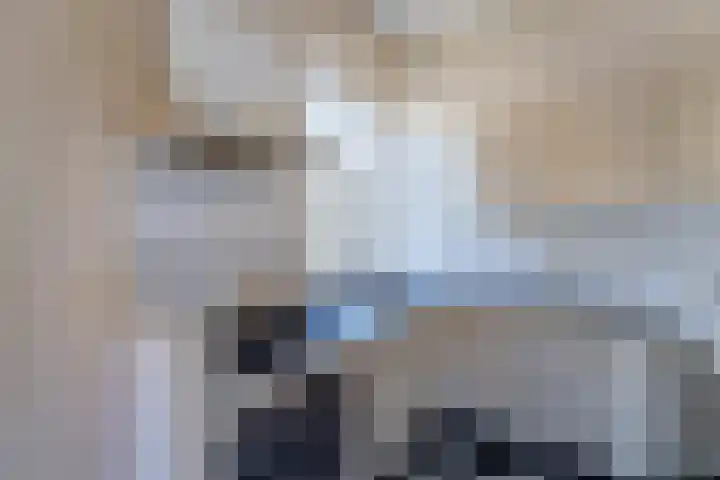 Peperstraat 3 Alkmaar thumbnail 7