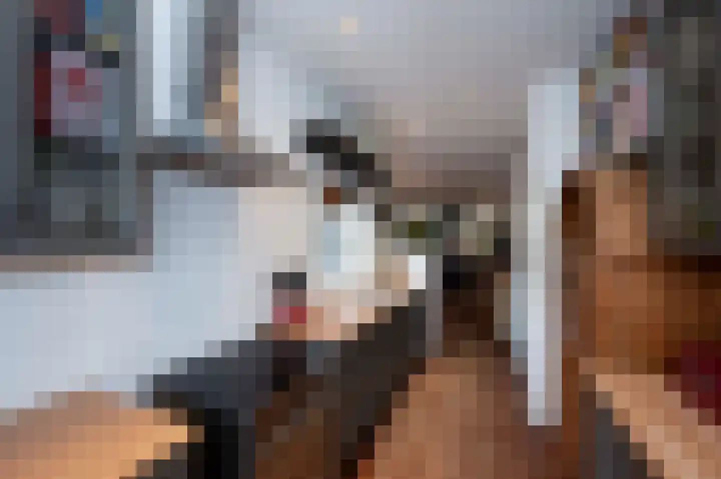Peperstraat 3 Oudewater thumbnail 13