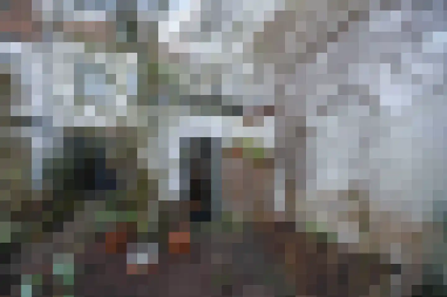 Peperstraat 3 Oudewater thumbnail 15