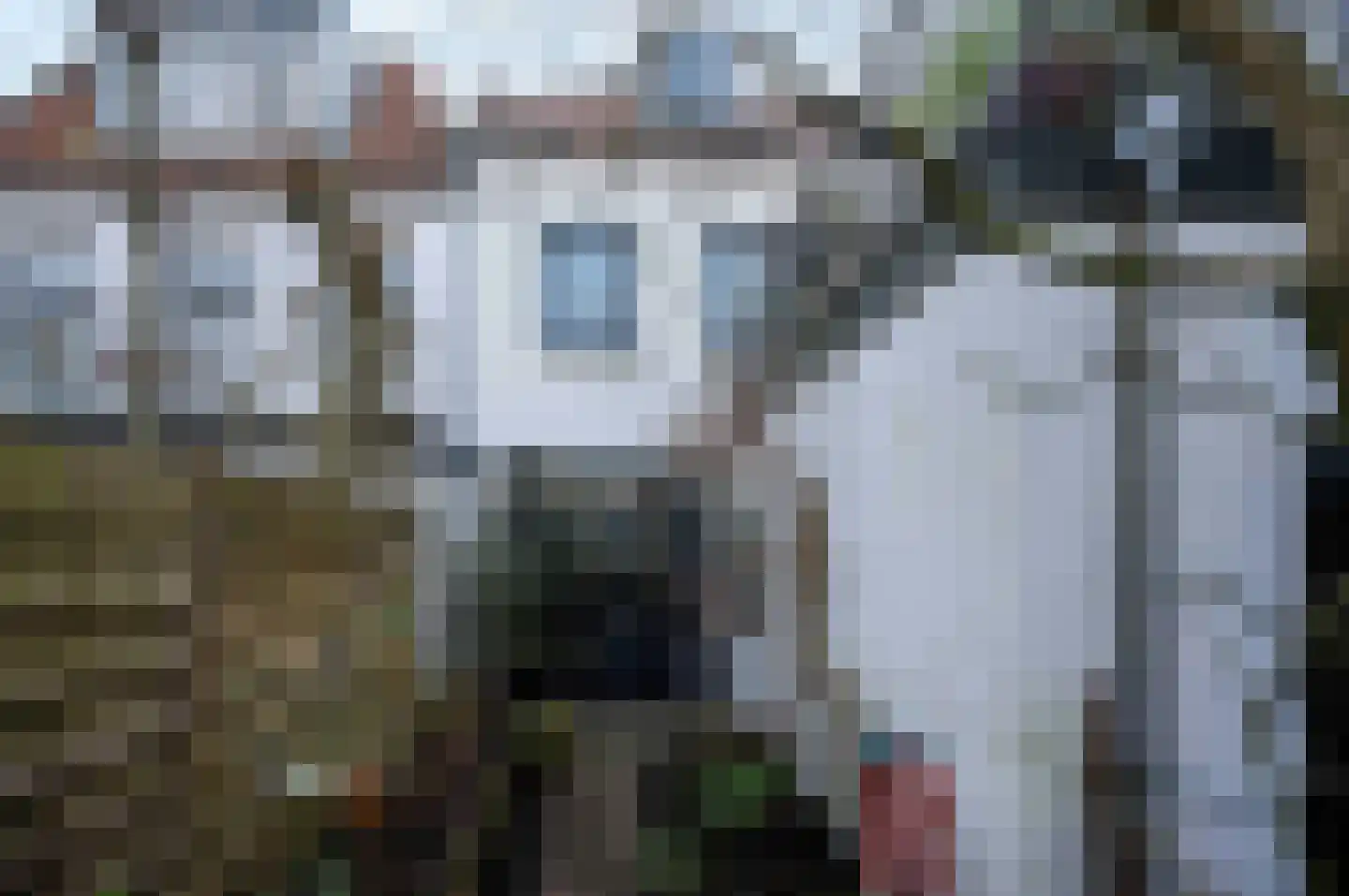 Peperstraat 3 Oudewater thumbnail 16