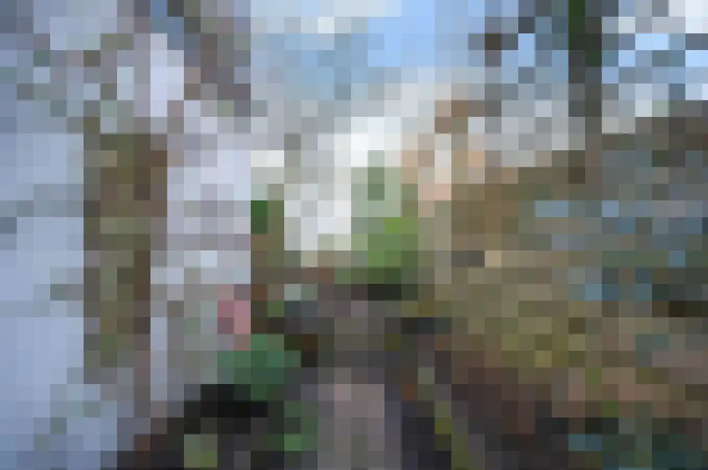 Peperstraat 3 Oudewater thumbnail 17