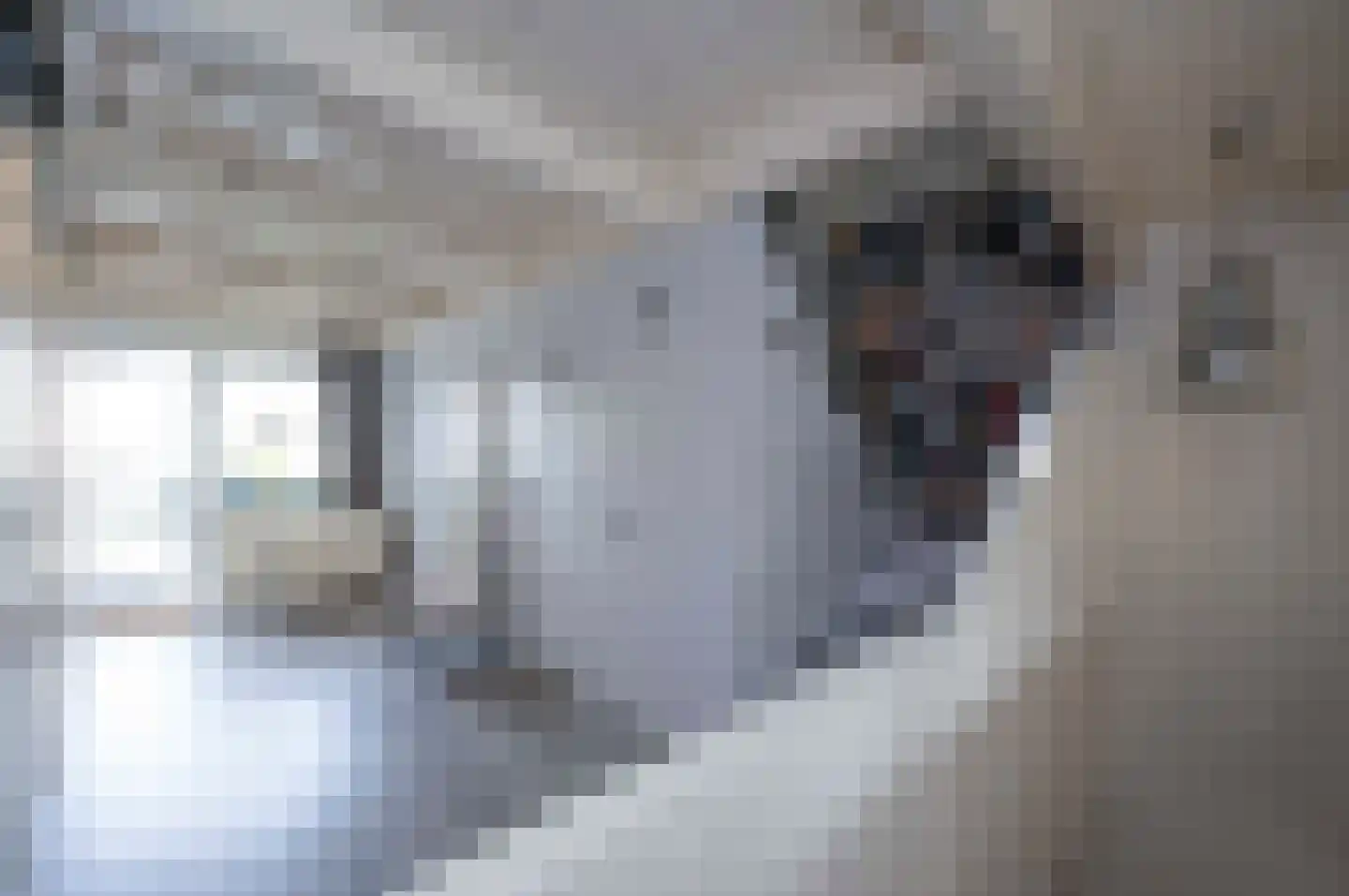 Peperstraat 3 Oudewater thumbnail 23