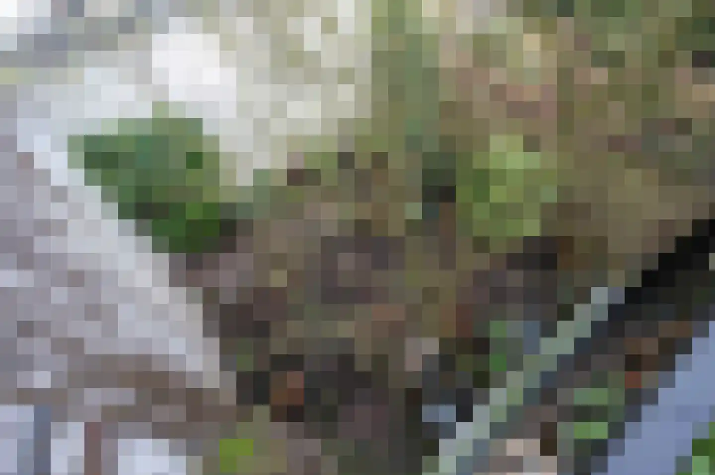 Peperstraat 3 Oudewater thumbnail 29