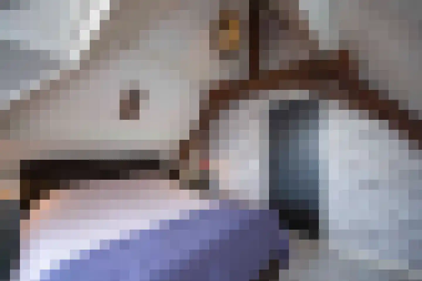 Peperstraat 3 Oudewater thumbnail 39