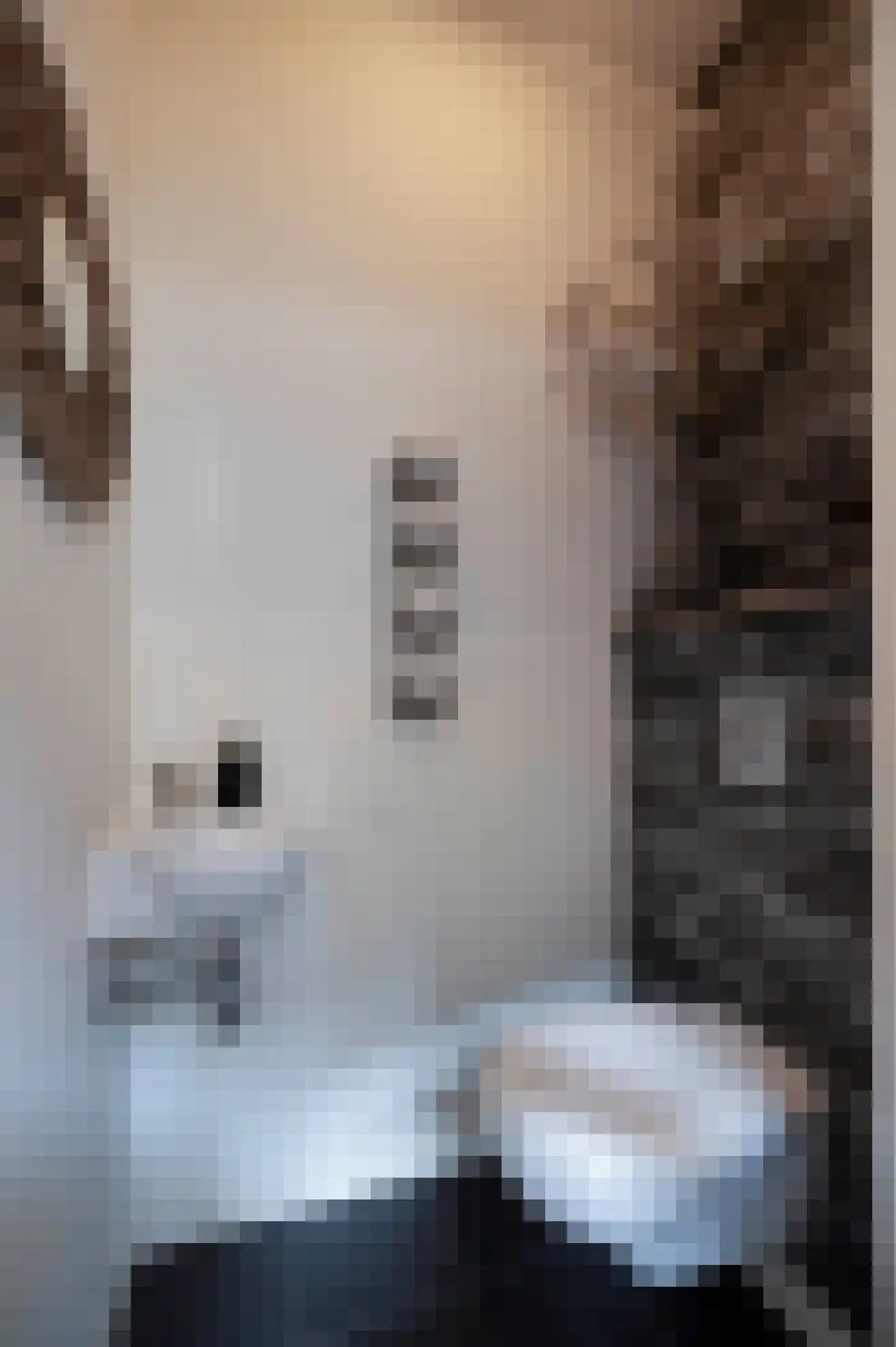 Peperstraat 3 Oudewater thumbnail 5