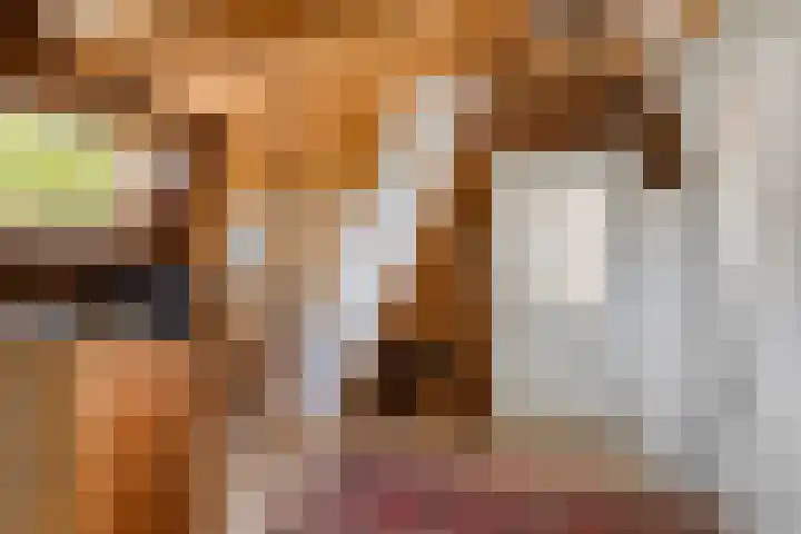 Peperstraat 31 Gameren thumbnail 19