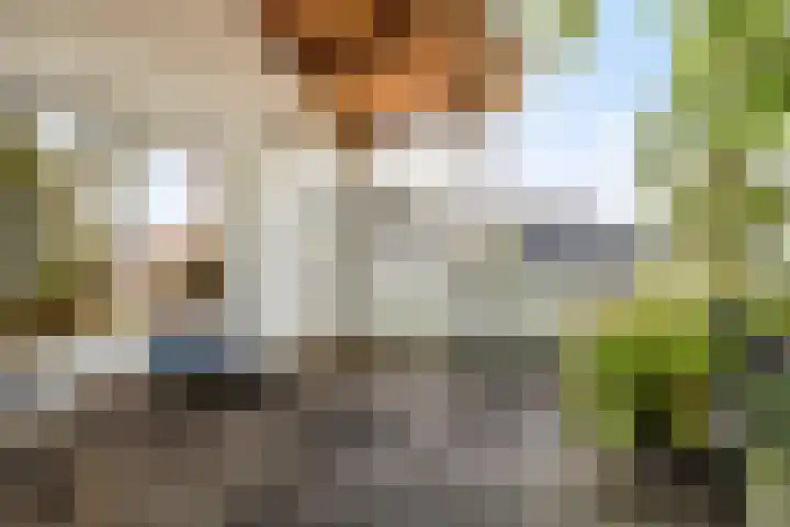Peperstraat 31 Gameren thumbnail 23