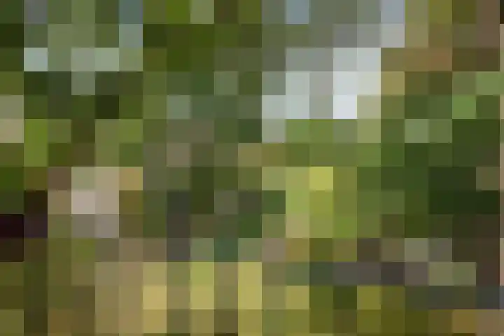 Peperstraat 31 Gameren thumbnail 24