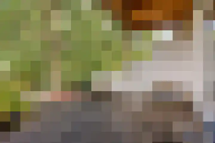 Peperstraat 31 Gameren thumbnail 25