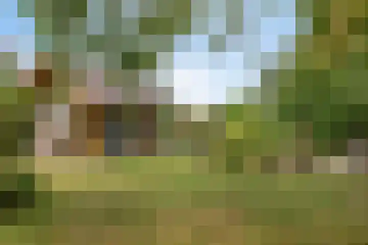 Peperstraat 31 Gameren thumbnail 32