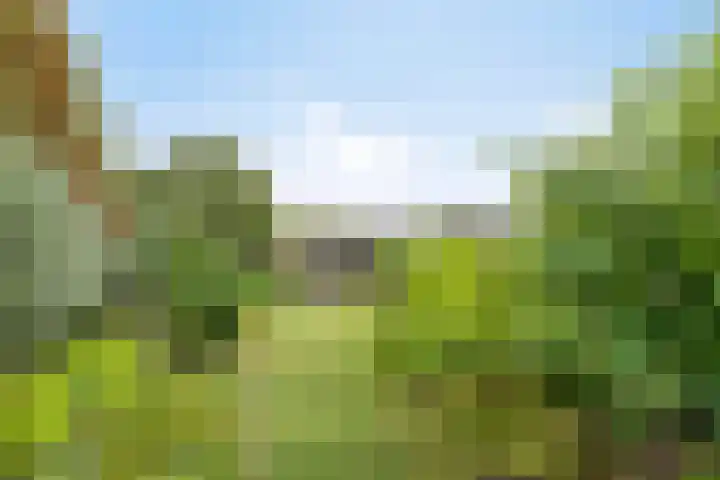 Peperstraat 31 Gameren thumbnail 34