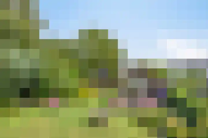 Peperstraat 31 Gameren thumbnail 35