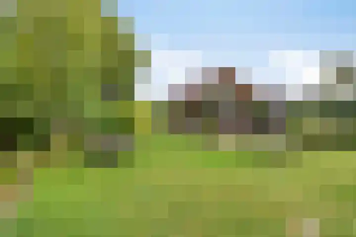 Peperstraat 31 Gameren thumbnail 36