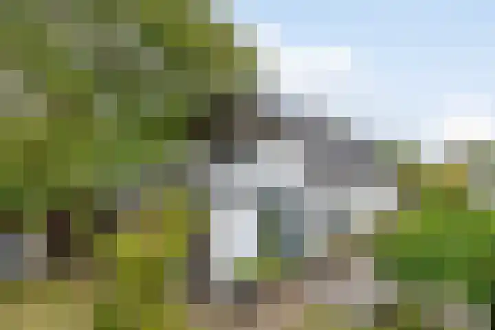 Peperstraat 31 Gameren thumbnail 39