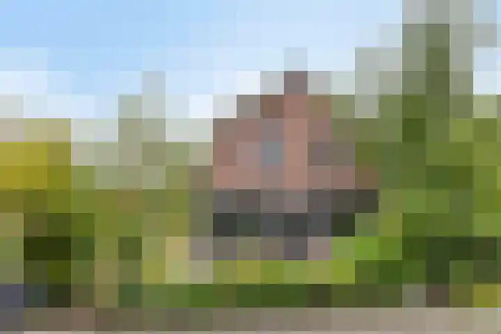 Peperstraat 31 Gameren thumbnail 4