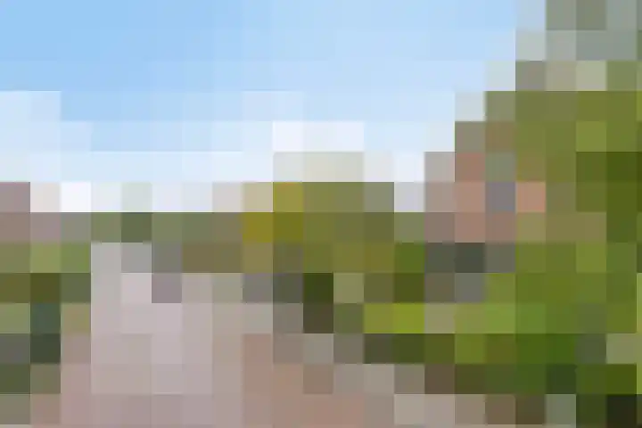 Peperstraat 31 Gameren thumbnail 42
