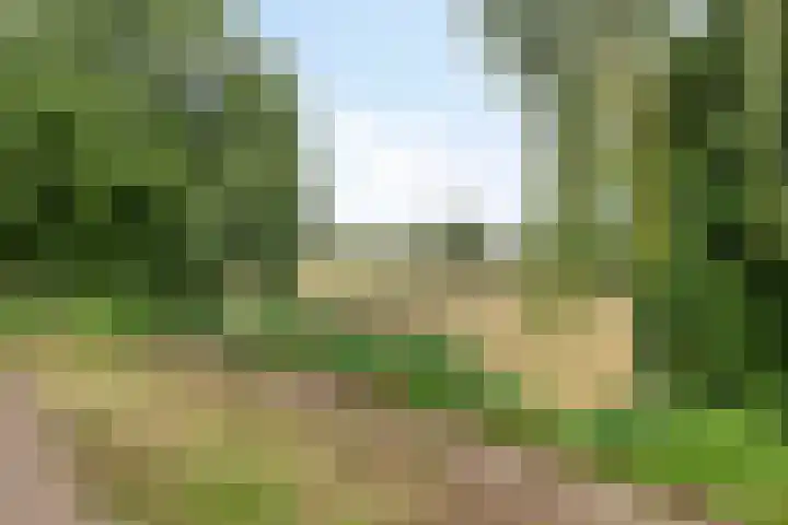 Peperstraat 31 Gameren thumbnail 43