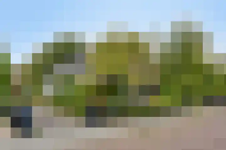 Peperstraat 31 Gameren thumbnail 5