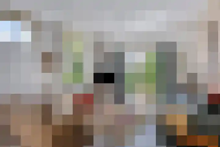 Peperstraat 31 Gameren thumbnail 8