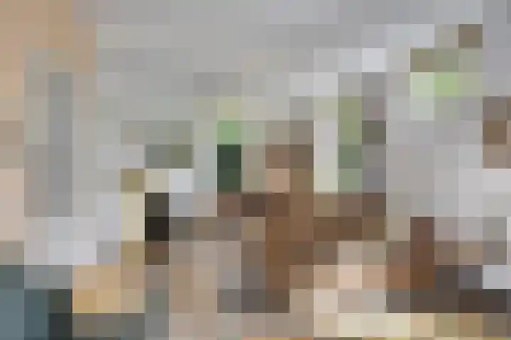 Peperstraat 31 Gameren thumbnail 9