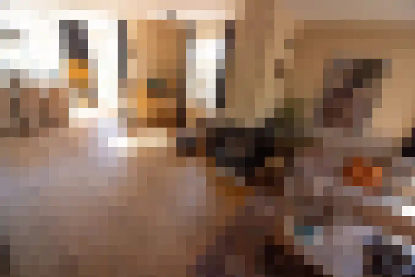 Peperstraat 33 Bovenkarspel thumbnail 22