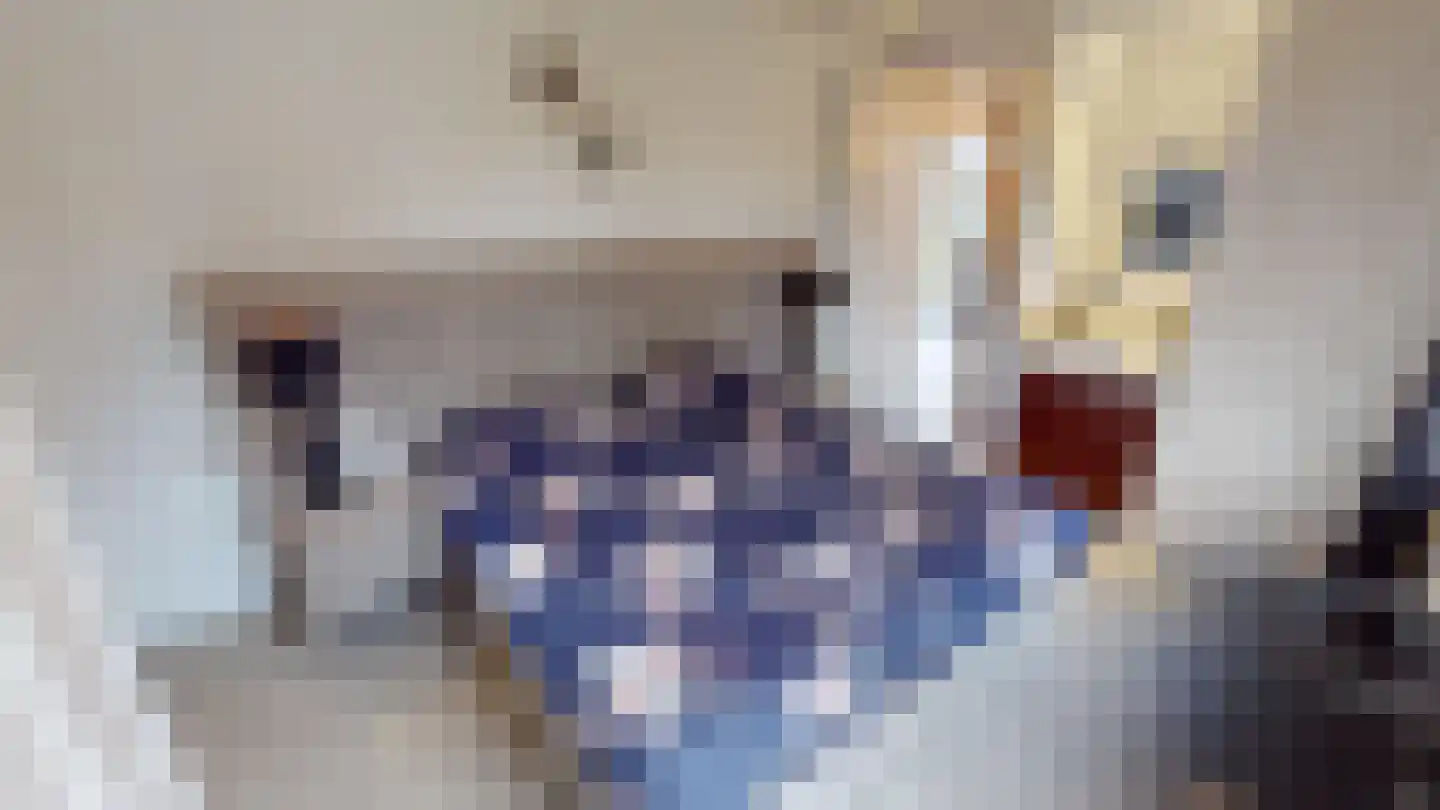 Peperstraat 33 Bovenkarspel thumbnail 36