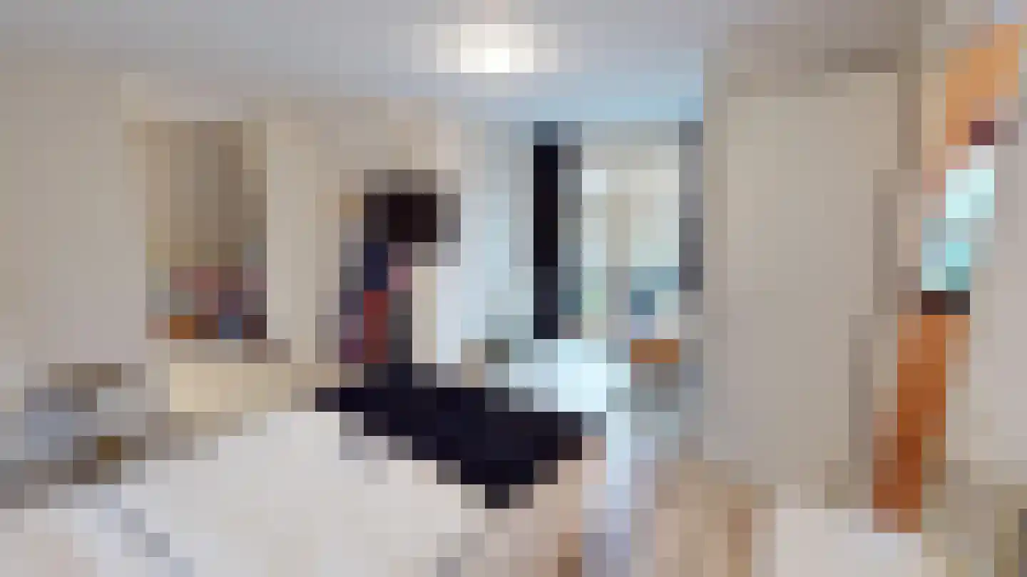 Peperstraat 33 Bovenkarspel thumbnail 42