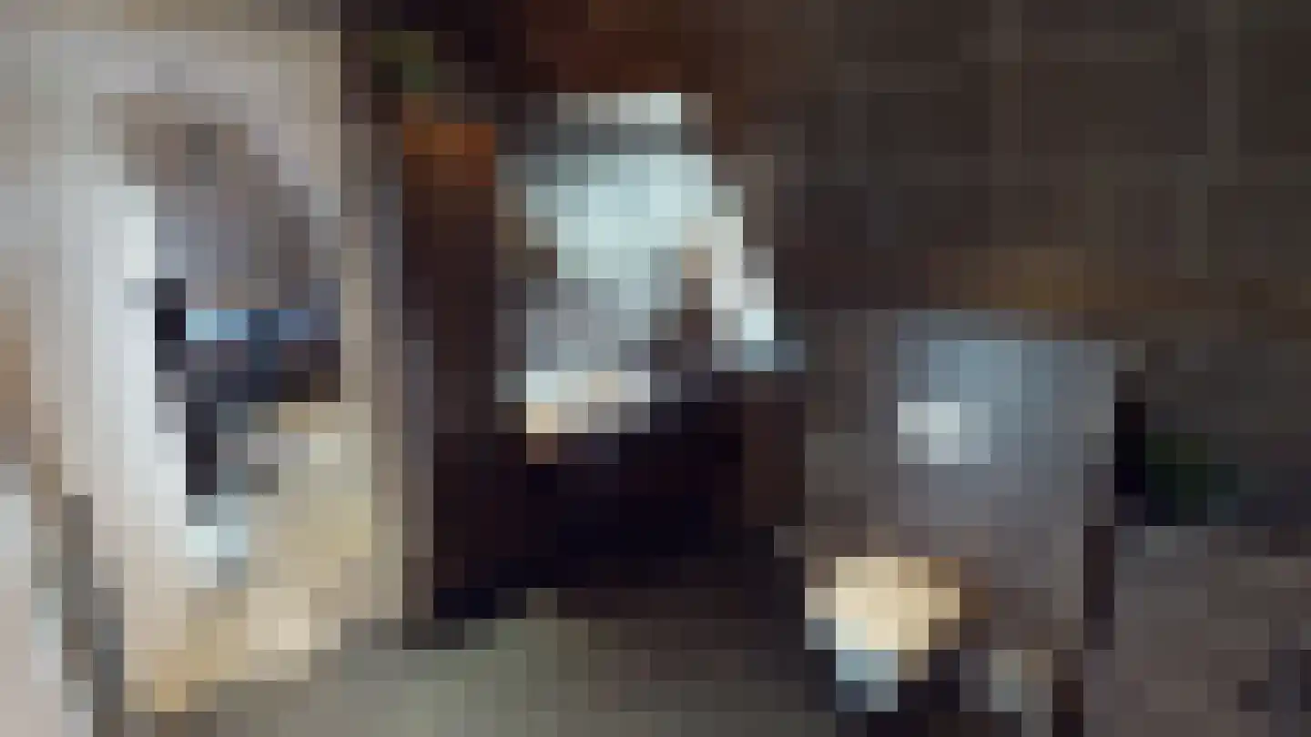 Peperstraat 33 Bovenkarspel thumbnail 47