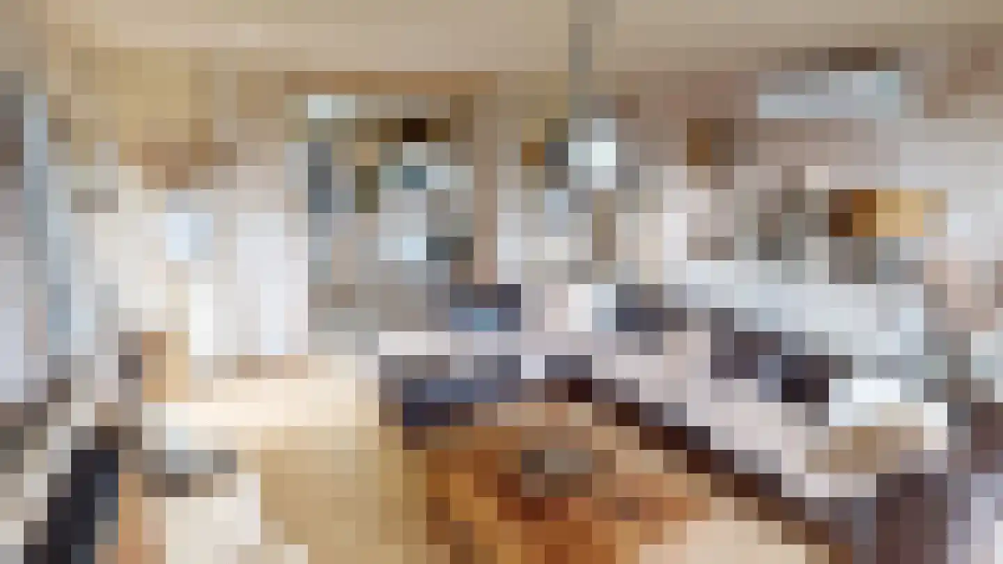 Peperstraat 33 Bovenkarspel thumbnail 62
